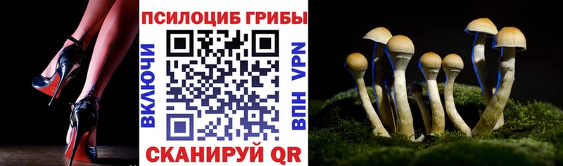 Галлюциногенные грибы мухоморы  Купить где  Кемь 